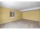Carpeted room with yellow walls and window bringing in natural light at 8951 Greenwich St, Highlands Ranch, CO 80130