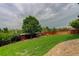 Lush backyard featuring a well-maintained lawn, a tall tree, and a dark wood fence at 10906 Touchstone Loop, Parker, CO 80134