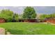 Spacious backyard with healthy green grass, mature trees, and privacy fence at 10906 Touchstone Loop, Parker, CO 80134