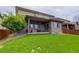 Well-maintained backyard featuring a covered patio, lush green lawn, and mature tree at 10906 Touchstone Loop, Parker, CO 80134