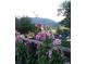 Lush garden featuring various flowers, plants, and a seating area at 16 Prairie St, Palmer Lake, CO 80133