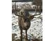 Large buck standing in snowy yard at 16 Prairie St, Palmer Lake, CO 80133