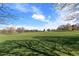 Expansive grassy field with tree shadows at 1313 N Williams St # 703, Denver, CO 80218