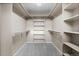 Spacious walk-in closet with ample shelving and storage space for an organized wardrobe at 5604 Singletree Ln, Parker, CO 80134