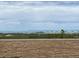 Scenic landscape featuring a view from a wall towards a building with vegetation and mountain backdrop under a cloudy sky at 3461 N Buchanan Way, Aurora, CO 80019