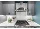 Close up of the kitchen showing the stainless steel appliances, range hood, and backsplash at 4922 Lowell Blvd # 2, Denver, CO 80221