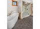 Luxurious bathroom features a standalone tub and glass shower with brass fixtures and hexagon tile at 19 South Rd, Breckenridge, CO 80424