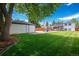 Large, grassy backyard featuring a mature shade tree, a storage shed, and a seating area at 1650 S Holly St, Denver, CO 80222