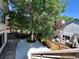 Spacious backyard with patio, large tree, and wooden fence at 17037 E Wiley Pl, Parker, CO 80134