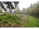 Expansive backyard view featuring lush greenery and a glimpse of the house at 1194 Camp Eden Rd, Golden, CO 80403