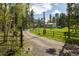 Scenic driveway leading to a beautiful home, surrounded by lush greenery and a gated entrance at 1194 Camp Eden Rd, Golden, CO 80403