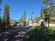 Scenic view of a multi-building property with mature trees and a gravel driveway at 1194 Camp Eden Rd, Golden, CO 80403