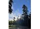 Sun shining through the pine trees above the gravel drive and fenced meadow at 1194 Camp Eden Rd, Golden, CO 80403