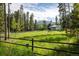 Expansive grassy yard bordered by trees and a fence, offering a serene and private setting at 1194 Camp Eden Rd, Golden, CO 80403