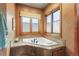 Bathroom features corner soaking tub and window at 4691 Bandera Pl, Parker, CO 80134