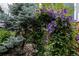 Beautiful backyard featuring greenery and flowering plants and landscaping, creating a serene outdoor space at 9758 Red Oakes Dr, Highlands Ranch, CO 80126