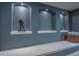 Decorated hallway niche with display shelves and integrated lighting at 9758 Red Oakes Dr, Highlands Ranch, CO 80126