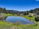 Scenic view of a serene pond with swans swimming, surrounded by green lawns and a forest backdrop at 20101 Spring Gulch Rd, Morrison, CO 80465
