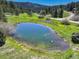 Scenic aerial view of a serene pond surrounded by lush greenery with swans floating on the water at 20101 Spring Gulch Rd, Morrison, CO 80465