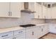 Stylish kitchen featuring white cabinets, granite countertops, and stainless steel appliances at 11453 Autumn Moon St, Littleton, CO 80125