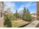 Landscaped backyard featuring a wooden fence, mature trees, and a fire pit at 3266 Coyote Hills Way, Castle Rock, CO 80109