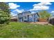 Lush backyard with a blue house, lawn, and wooden fence at 325 Mulberry Cir, Broomfield, CO 80020