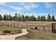 Gated backyard with curved pathway, lush grassy area, and tree line at 1340 Deerpath Trl, Franktown, CO 80116