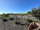 Scenic community gardens with lush landscaping and a shed at 4305 W 118Th Pl, Westminster, CO 80031