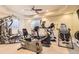 Home gym with plenty of fitness equipment and mirrors to create a dedicated workout space at 10456 Carriage Club Dr, Lone Tree, CO 80124