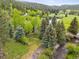 Charming home surrounded by lush greenery, creek, and pond at 4230 S Meadow Brook Ln, Evergreen, CO 80439