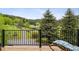 Breathtaking views of the lush green lawn, lake and trees from this beautiful deck at 4230 S Meadow Brook Ln, Evergreen, CO 80439