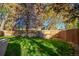 Large, grassy backyard with wooden fence at 7904 Chase Cir # 146, Arvada, CO 80003