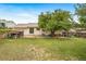 Spacious backyard featuring a well-maintained lawn, patio area, mature tree and shed for ample space to enjoy outdoors at 10007 Bryant St, Denver, CO 80260
