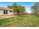 Lovely backyard featuring green lawn, mature trees, concrete patio area for outdoor living and entertainment at 10007 Bryant St, Denver, CO 80260