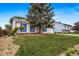Delightful single-story home with blue trim and large shade tree located in a well-maintained neighborhood at 10007 Bryant St, Denver, CO 80260