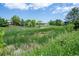 Lush green open space with tall grasses, trees, and native plants in a park setting at 6505 Kalua Rd # 104B, Boulder, CO 80301