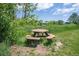 Outdoor picnic table surrounded by tall green grass, weeds, and trees on a sunny day at 6505 Kalua Rd # 104B, Boulder, CO 80301
