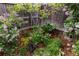 Landscaped area with lilac bushes and various shade loving plants, bordered by a wooden fence at 4528 W 34Th Ave, Denver, CO 80212