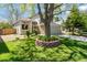 Well-manicured front yard featuring a mature tree, lush green grass, and partial view of the home's exterior at 1462 Marigold Dr, Lafayette, CO 80026