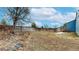 Fenced backyard with large open area and mature trees, offering privacy and outdoor space at 20091 E Bellewood Dr, Centennial, CO 80015