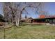 A sprawling backyard offers ample space, enhanced by mature trees and partial views of the home's red brick exterior at 2415 Urban St, Lakewood, CO 80215