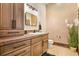 Classic bathroom featuring wood vanity, granite counters, patterned wall, and decorative green plant at 7390 Sagebrush Dr, Parker, CO 80138