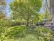 Expansive backyard featuring a large tree, lush lawn, mature landscaping, and outdoor seating area at 4196 S Reading Way, Denver, CO 80237