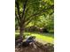Charming backyard feature with a tree swing, surrounded by lush greenery, creating a playful and inviting space at 4196 S Reading Way, Denver, CO 80237