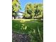 A sprawling backyard with manicured lawn and mature trees, offering a private and serene outdoor space at 4196 S Reading Way, Denver, CO 80237