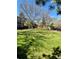 Large, well-maintained backyard with lush green lawn and mature trees at 4196 S Reading Way, Denver, CO 80237