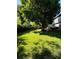 Expansive backyard featuring lush green grass and mature trees, ideal for outdoor activities and recreation at 4196 S Reading Way, Denver, CO 80237