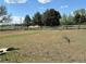 Fenced pasture with trees, offering ample space for outdoor activities and livestock at 14347 E 134Th Ave, Brighton, CO 80601