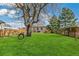 Lush backyard with mature tree, swing, green grass, and a fence for privacy at 2441 E 47Th Ave, Denver, CO 80216