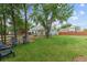 Spacious backyard with lush green lawn and mature trees, providing ample space for outdoor activities at 247 Tipple Pkwy, Frederick, CO 80530